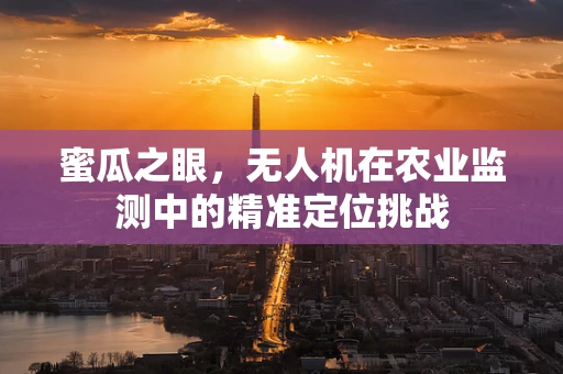 蜜瓜之眼，无人机在农业监测中的精准定位挑战