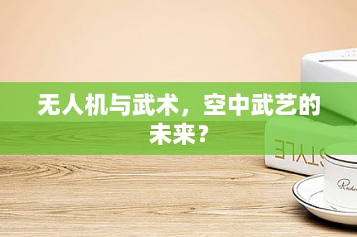 无人机与武术，空中武艺的未来？