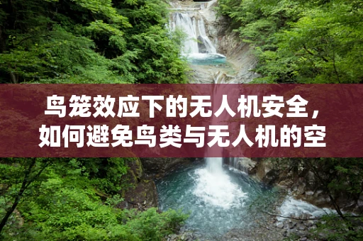 鸟笼效应下的无人机安全，如何避免鸟类与无人机的空中碰撞？