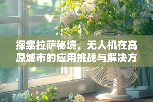 探索拉萨秘境，无人机在高原城市的应用挑战与解决方案