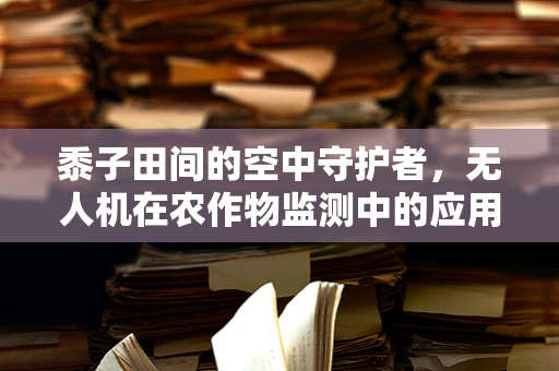 黍子田间的空中守护者，无人机在农作物监测中的应用与挑战