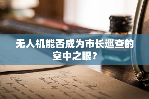 无人机能否成为市长巡查的空中之眼？