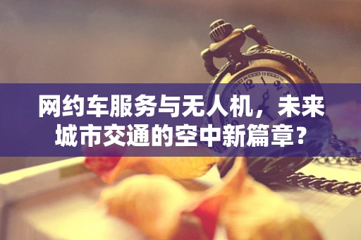 网约车服务与无人机，未来城市交通的空中新篇章？