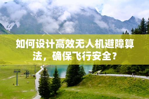 如何设计高效无人机避障算法，确保飞行安全？