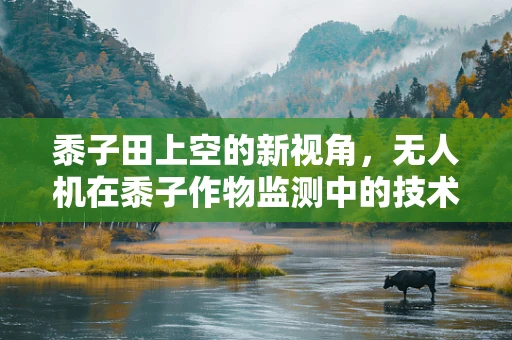 黍子田上空的新视角，无人机在黍子作物监测中的技术挑战与机遇