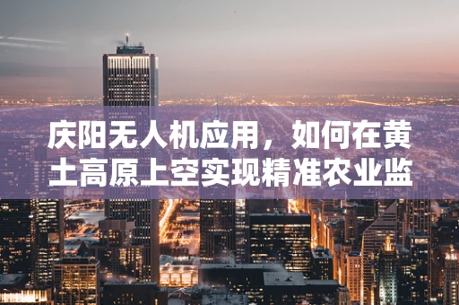庆阳无人机应用，如何在黄土高原上空实现精准农业监测？
