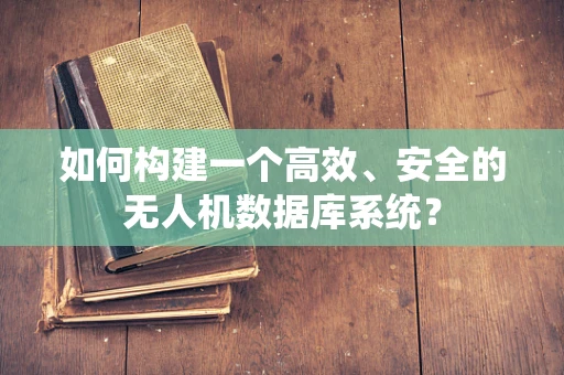 如何构建一个高效、安全的无人机数据库系统？