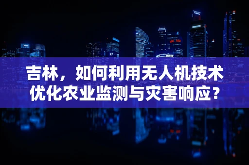 吉林，如何利用无人机技术优化农业监测与灾害响应？
