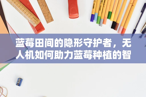 蓝莓田间的隐形守护者，无人机如何助力蓝莓种植的智能监控？