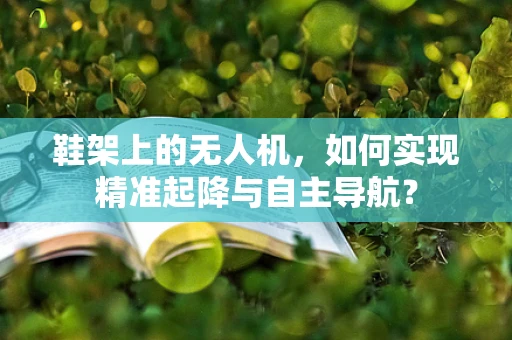鞋架上的无人机，如何实现精准起降与自主导航？
