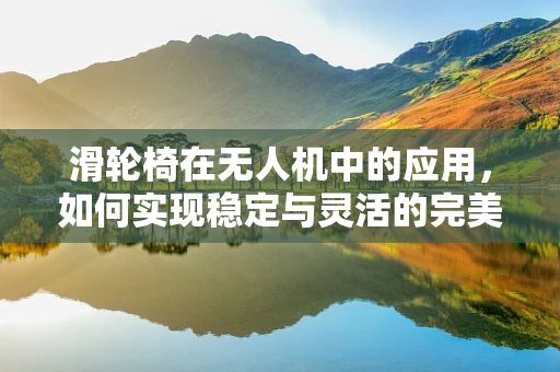 滑轮椅在无人机中的应用，如何实现稳定与灵活的完美结合？
