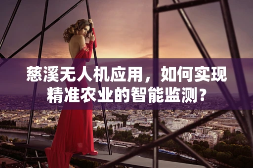 慈溪无人机应用，如何实现精准农业的智能监测？