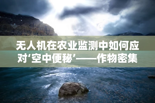 无人机在农业监测中如何应对‘空中便秘’——作物密集区的挑战？