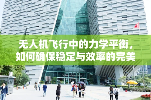 无人机飞行中的力学平衡，如何确保稳定与效率的完美结合？