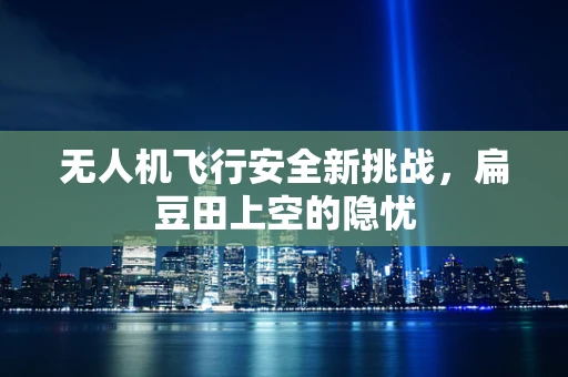 无人机飞行安全新挑战，扁豆田上空的隐忧