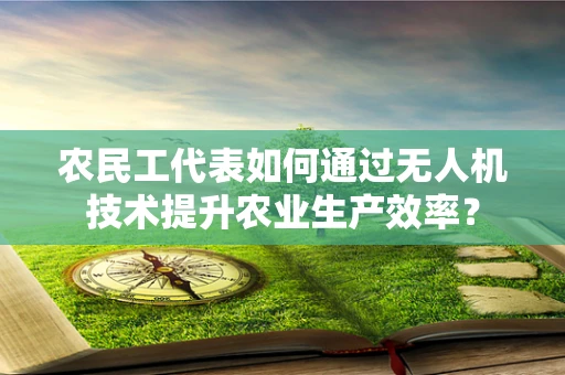 农民工代表如何通过无人机技术提升农业生产效率？