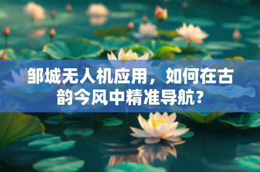 邹城无人机应用，如何在古韵今风中精准导航？