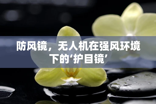 防风镜，无人机在强风环境下的‘护目镜’