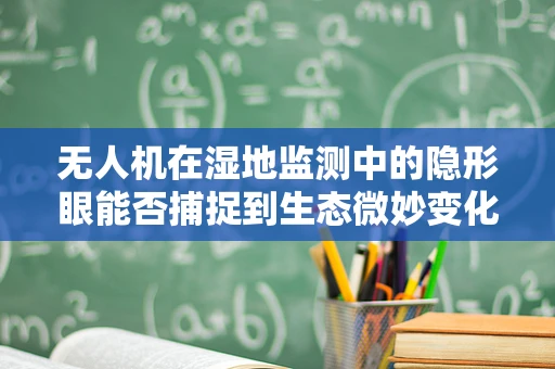 无人机在湿地监测中的隐形眼能否捕捉到生态微妙变化？