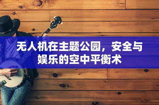 无人机在主题公园，安全与娱乐的空中平衡术