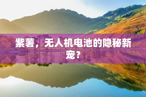 紫薯，无人机电池的隐秘新宠？