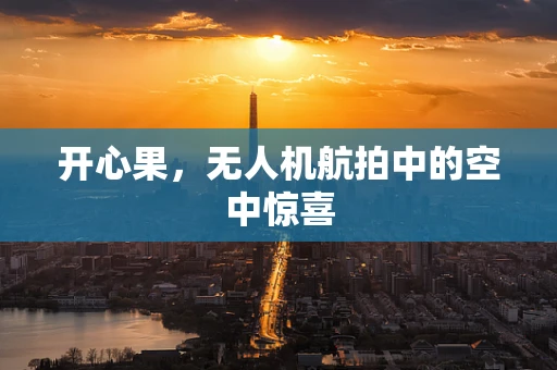 开心果，无人机航拍中的空中惊喜