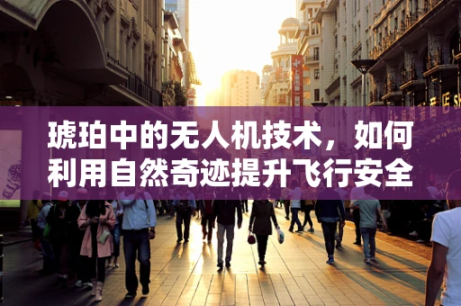 琥珀中的无人机技术，如何利用自然奇迹提升飞行安全？