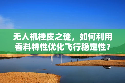 无人机桂皮之谜，如何利用香料特性优化飞行稳定性？