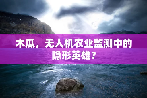 木瓜，无人机农业监测中的隐形英雄？