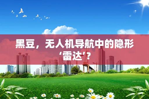 黑豆，无人机导航中的隐形‘雷达’？