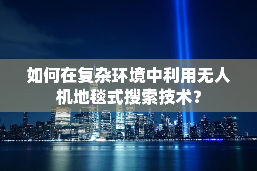如何在复杂环境中利用无人机地毯式搜索技术？
