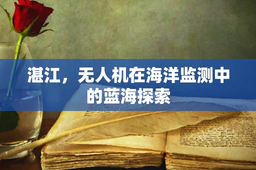 湛江，无人机在海洋监测中的蓝海探索