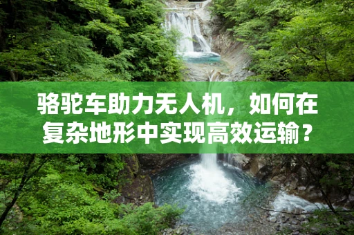 骆驼车助力无人机，如何在复杂地形中实现高效运输？