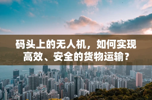 码头上的无人机，如何实现高效、安全的货物运输？