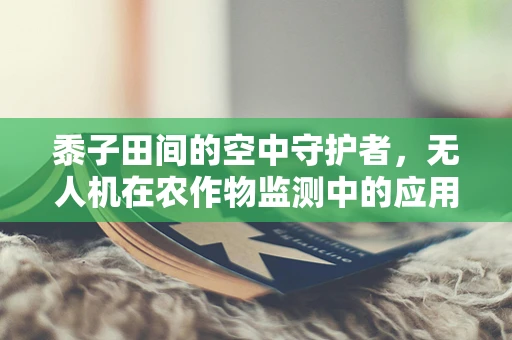 黍子田间的空中守护者，无人机在农作物监测中的应用与挑战