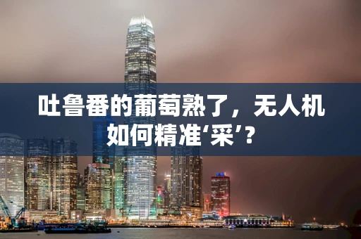 吐鲁番的葡萄熟了，无人机如何精准‘采’？