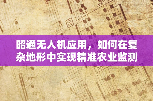昭通无人机应用，如何在复杂地形中实现精准农业监测？
