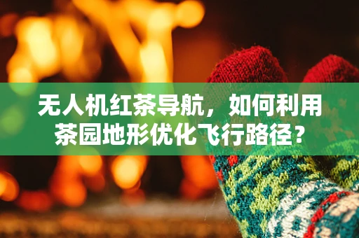 无人机红茶导航，如何利用茶园地形优化飞行路径？
