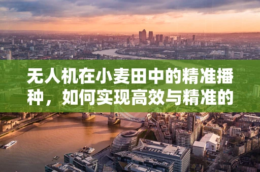 无人机在小麦田中的精准播种，如何实现高效与精准的平衡？
