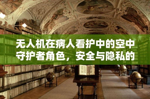 无人机在病人看护中的空中守护者角色，安全与隐私的平衡挑战