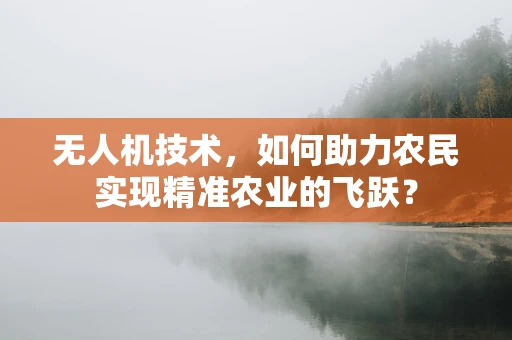 无人机技术，如何助力农民实现精准农业的飞跃？