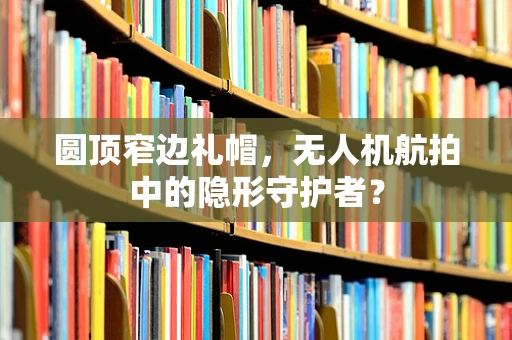 圆顶窄边礼帽，无人机航拍中的隐形守护者？
