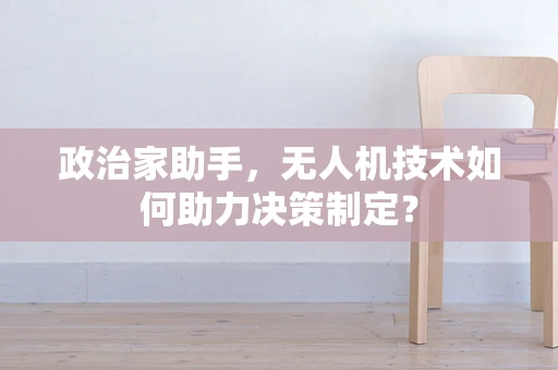 政治家助手，无人机技术如何助力决策制定？
