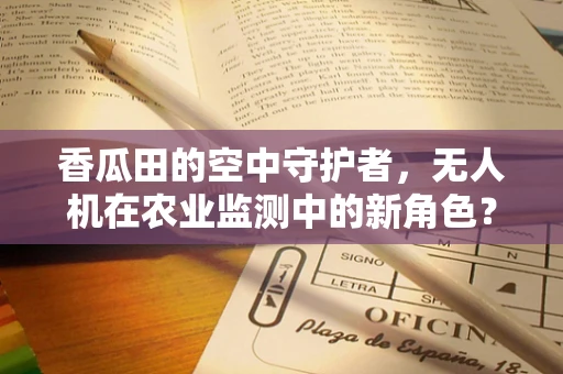 香瓜田的空中守护者，无人机在农业监测中的新角色？
