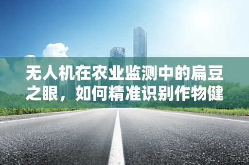 无人机在农业监测中的扁豆之眼，如何精准识别作物健康？