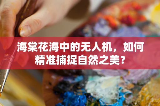 海棠花海中的无人机，如何精准捕捉自然之美？