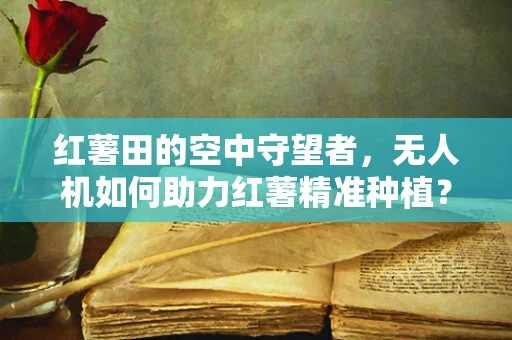 红薯田的空中守望者，无人机如何助力红薯精准种植？
