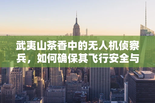 武夷山茶香中的无人机侦察兵，如何确保其飞行安全与精准定位？