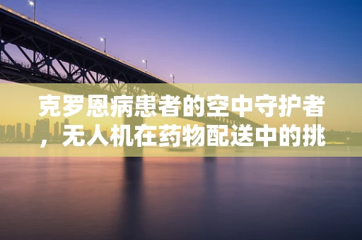 克罗恩病患者的空中守护者，无人机在药物配送中的挑战与机遇