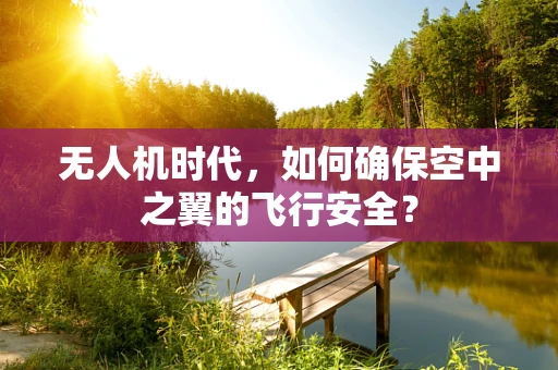 无人机时代，如何确保空中之翼的飞行安全？